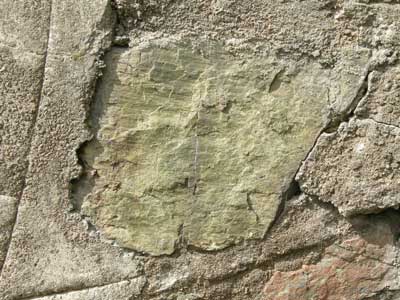 epidote.jpg